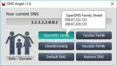 DNS Angel Ảnh chụp màn hình 2