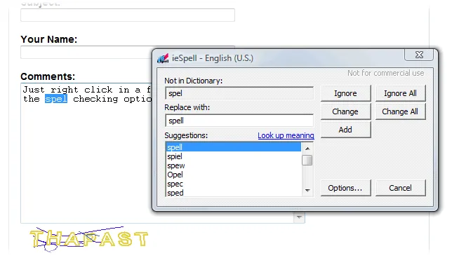 ieSpell Ảnh chụp màn hình 2