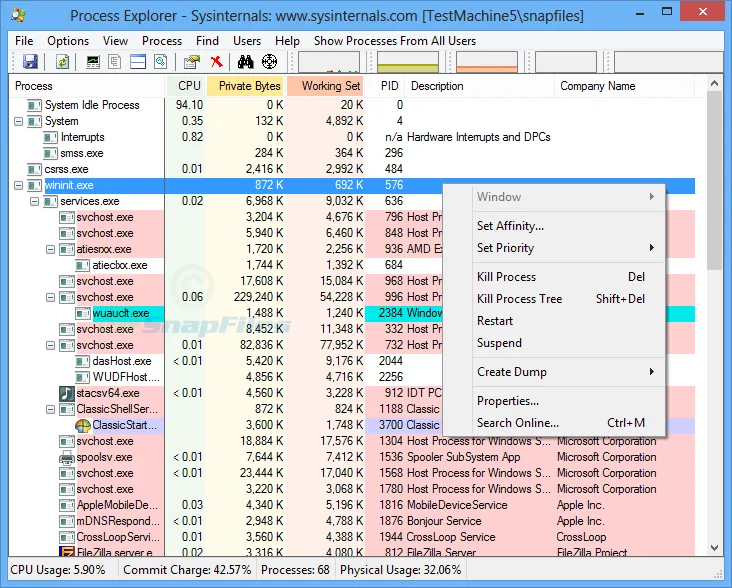 Process Explorer Ảnh chụp màn hình 1